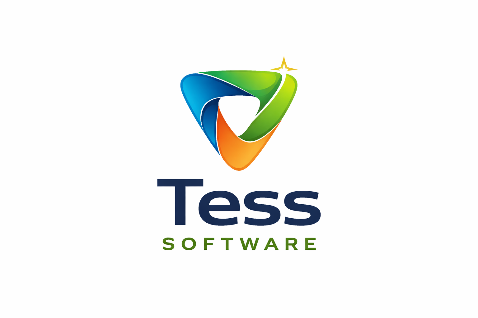 TESS CLUB SOFTWARE